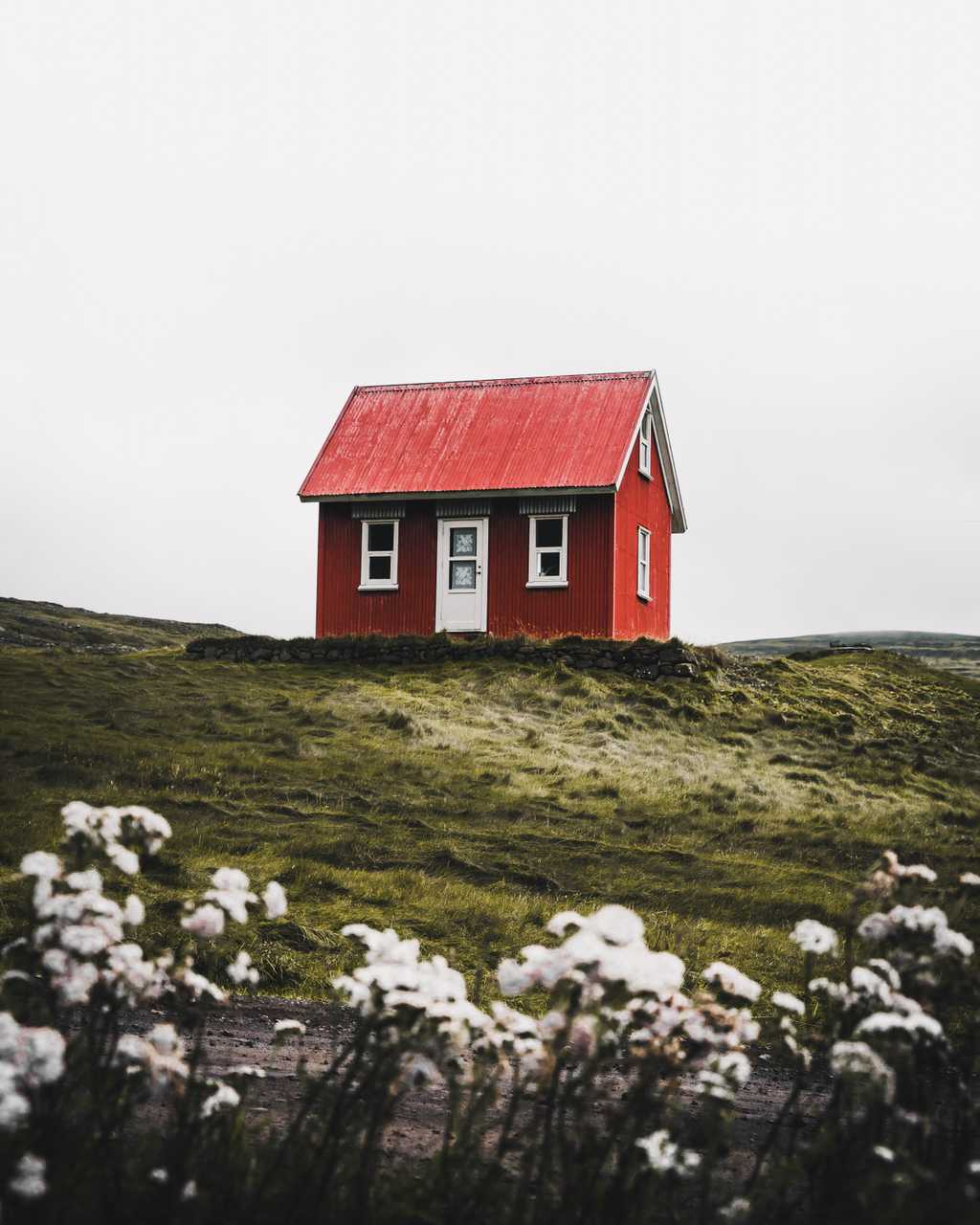 Finding a home - Unsplash / @withluke